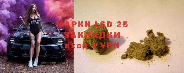 стаф Гусь-Хрустальный