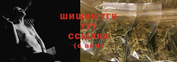 стаф Гусь-Хрустальный