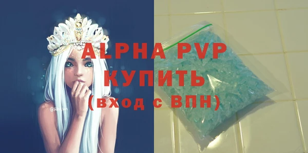 Альфа ПВП Гусев