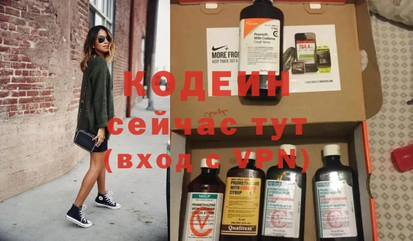 стаф Гусь-Хрустальный