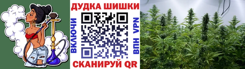 ОМГ ОМГ зеркало  купить наркотик  Ельня  Каннабис ГИДРОПОН 